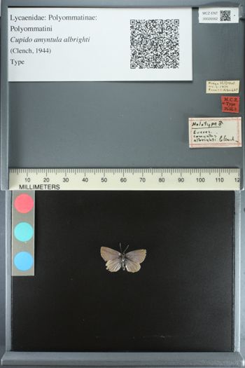 Media type: image;   Entomology 26562